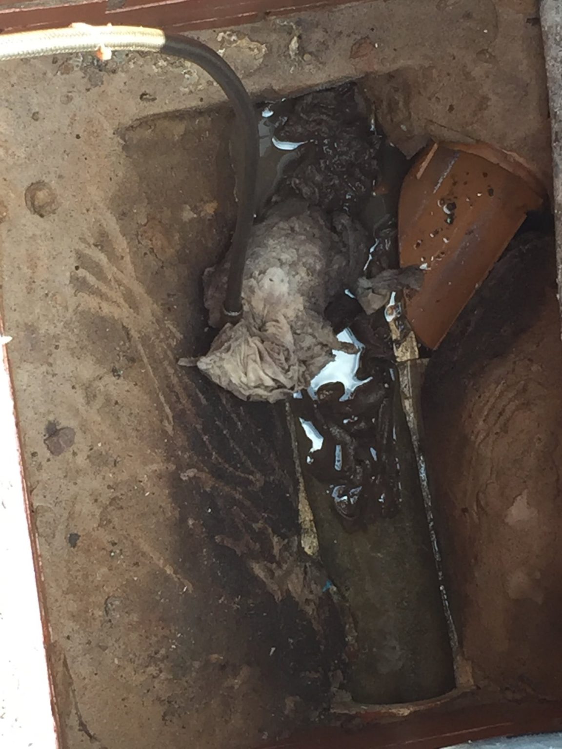 Why you should never flush wet wipes down the toilet